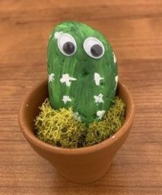 Teen Take-Out Kit: Pet Cactus Rock